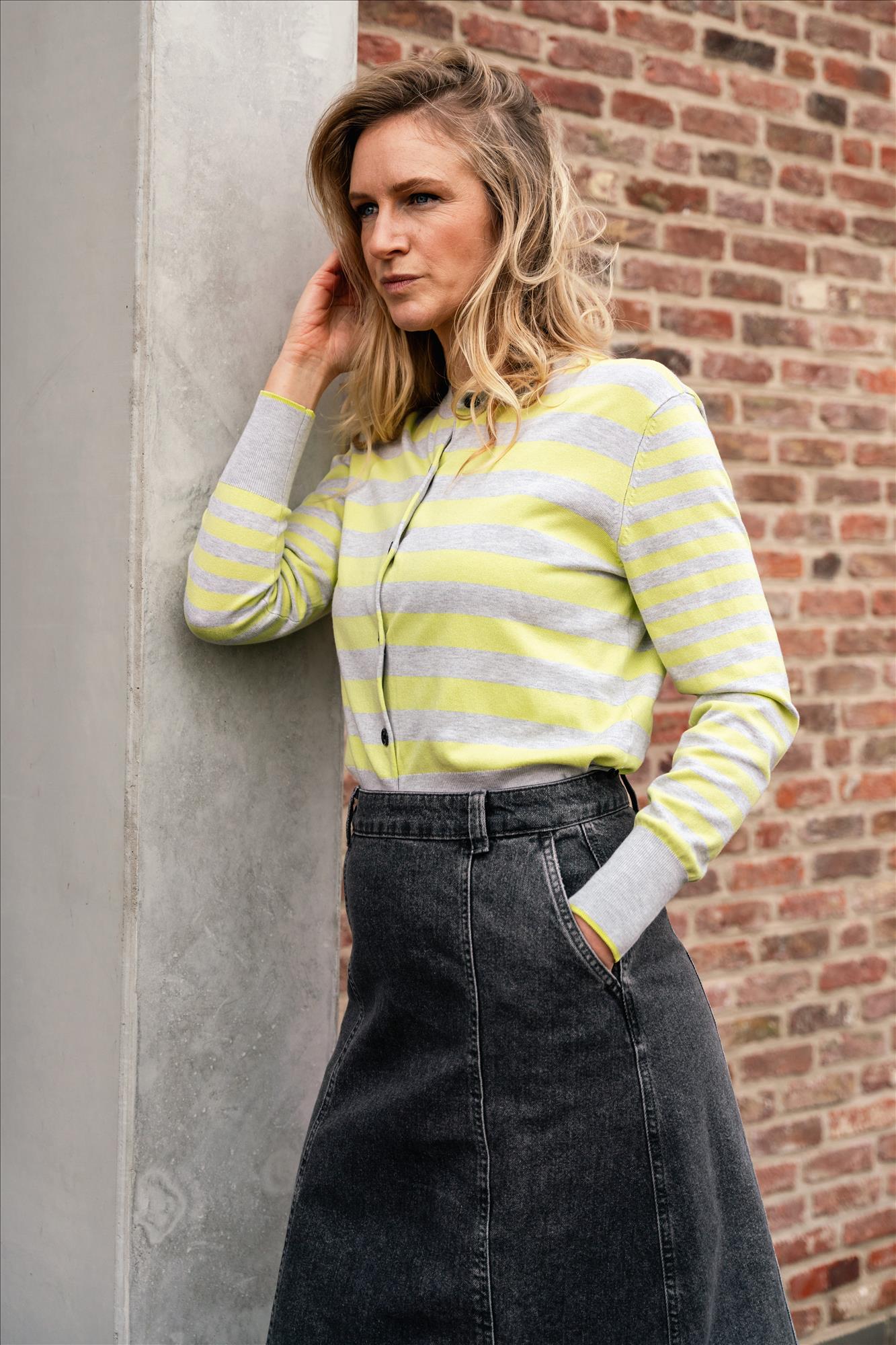 Scotch & Soda - Grijs-Groene Stripe cardigan